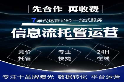 顶级SEM服务公司案例解析
